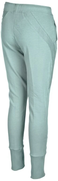 Pantalon Femme Arena W Gym Pant Frozen -Funky Trunks Soldes 000945 850 w gym pant 004 br s