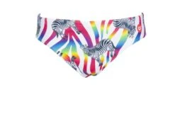 Maillot De Bain Arena Homme Crazy Zebras Brief Multicolor -Funky Trunks Soldes 002908 850 m crazy zebras brief 005 f s