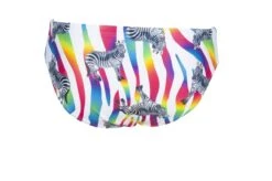 Maillot De Bain Arena Homme Crazy Zebras Brief Multicolor -Funky Trunks Soldes 002908 850 m crazy zebras brief 006 b s